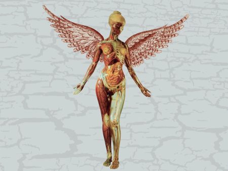 2CD - Nirvana - In Utero Online Hot Sale