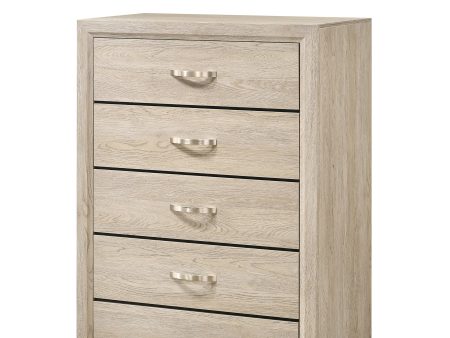 Akerson Driftwood Chest Hot on Sale