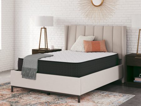 Limited Edition Firm White Queen Mattress Sale