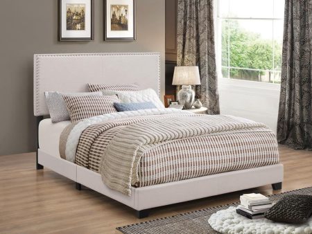 Boyd Twin Upholstered Bed with Nailhead Trim Ivory on Sale