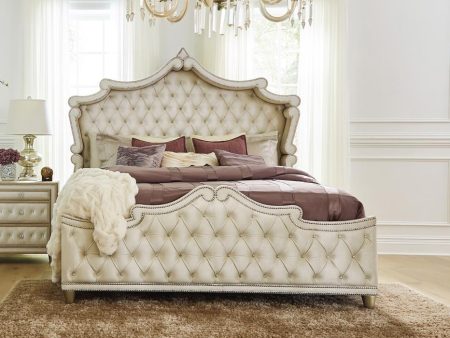 Antonella Upholstered Tufted Eastern King Bed Ivory Camel Online